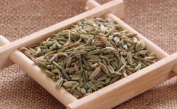 如何選擇茶葉包裝機(jī)廠家？選擇標(biāo)準(zhǔn)解析茶葉包裝機(jī)廠家。